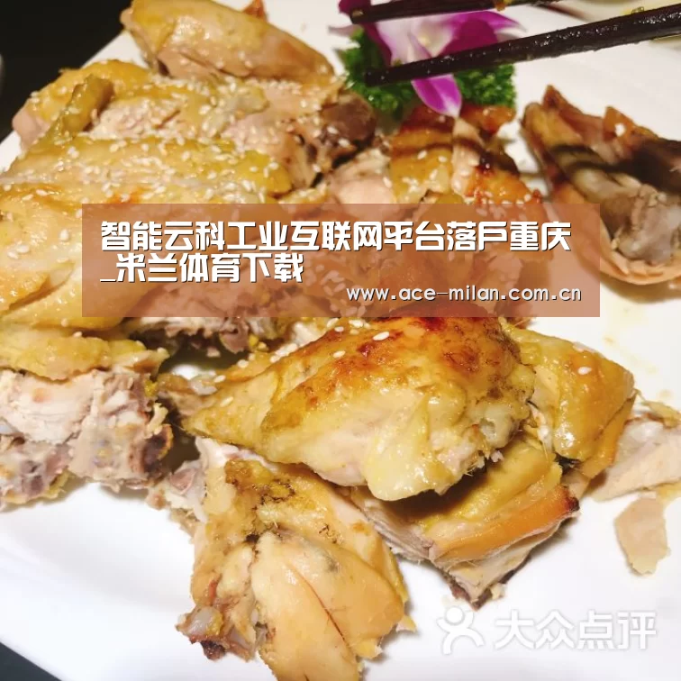 智能云科工业互联网平台落户重庆_米兰体育下载(图2) 米兰体育下载