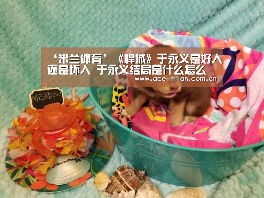 米兰体育下载