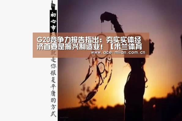 G20竞争力报告指出:夯实实体经济首要是振兴制造业!【米兰体育】(图2) 米兰体育