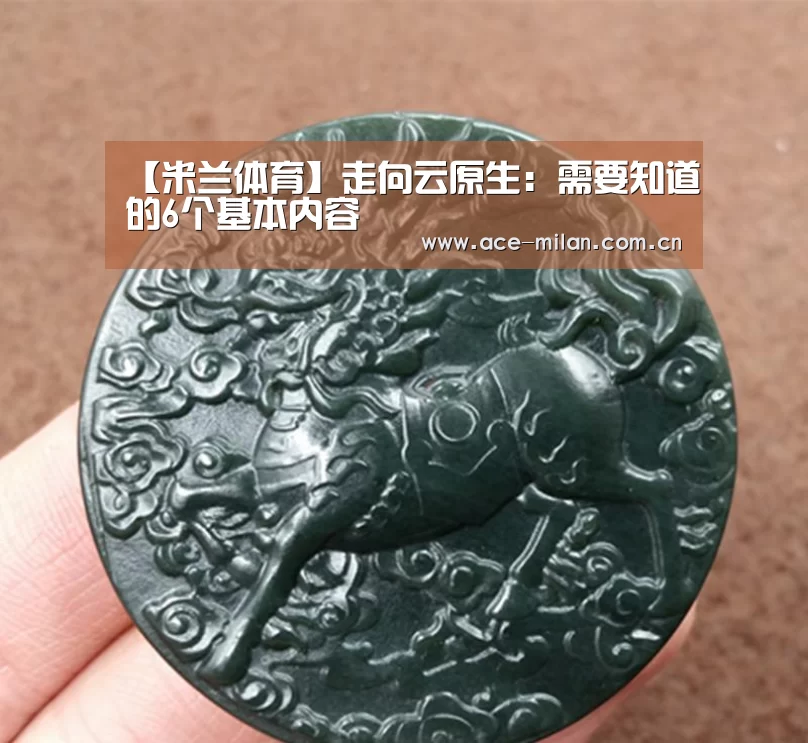 【米兰体育】走向云原生:需要知道的6个基本内容(图2) 米兰体育